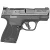 Smith & Wesson M&P Shield Plus 9mm Luger 3.1in Matte Black Pistol - 10+1 Rounds