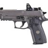 Sig Sauer P229 Legion RX 9mm Luger 3.9in Legion Gray Pistol - 15+1 Rounds