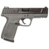 Smith & Wesson SD40 40 S&W 4in Gray Pistol - 14+1 Rounds