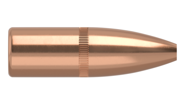 22 CALIBER 62GR FBHP VARMAGEDDON (100CT)
