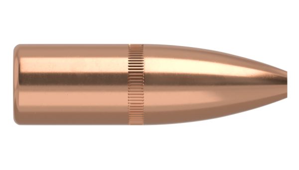 20 CALIBER 32GR FBHP VARMAGEDDON (250CT)