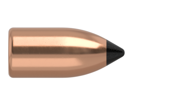 22 CALIBER 35GR FB TIPPED VARMAGEDDON (250CT)