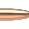 22 CALIBER 60GR BALLISTIC TIP VARMINT (100CT)