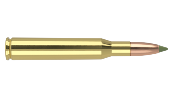 270 WINCHESTER 130GR EXPANSION TIP AMMUNITION