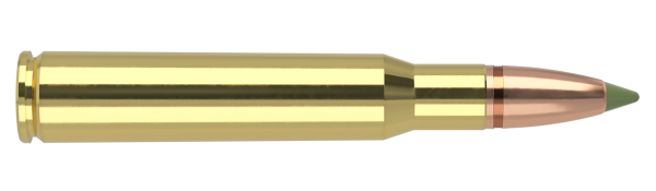 30-06 SPRINGFIELD 168GR EXPANSION TIP AMMUNITION