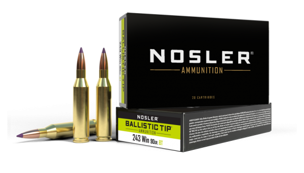 243 WINCHESTER 90GR BALLISTIC TIP HUNTING AMMUNITION