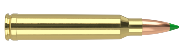 300 WIN MAG 180GR BALLISTIC TIP HUNTING AMMUNITION