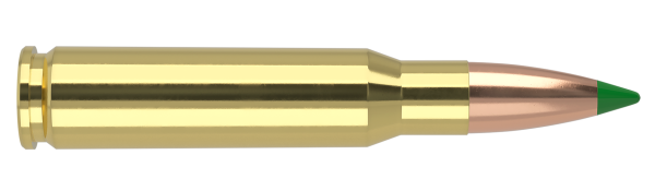 308 WINCHESTER 125GR BALLISTIC TIP HUNTING AMMUNITION