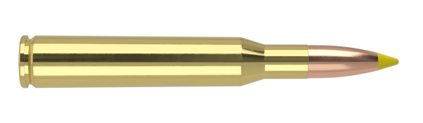 270 WIN 130GR BALLISTIC TIP HUNTING AMMUNITION