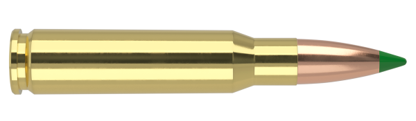 308 WINCHESTER 165GR BALLISTIC TIP HUNTING AMMUNITION