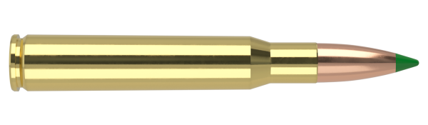 30-06 SPRINGFIELD 125GR BALLISTIC TIP HUNTING AMMUNITION