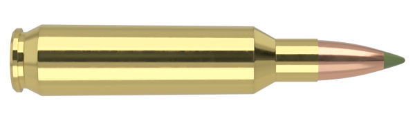 22 NOSLER 55GR EXPANSION TIP LEAD FREE AMMUNITION