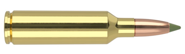 270 WSM 130GR EXPANSION TIP AMMUNITION