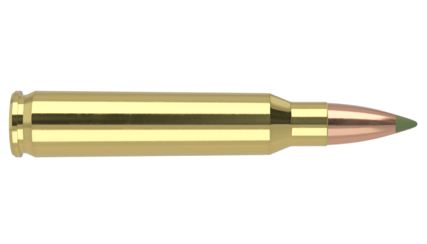 223 REMINGTON 55GR EXPANSION TIP AMMUNITION