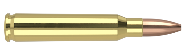 223 REM 62GR FBHP VARMAGEDDON AMMUNITION