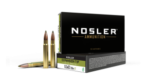 9.3X62 250GR EXPANSION TIP AMMUNITION