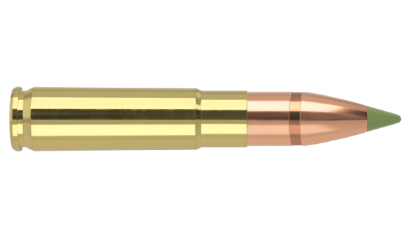 300 AAC BLACKOUT 110GR EXPANSION TIP AMMUNITION