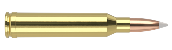 7MM REM MAG 160GR ACCUBOND TROPHY GRADE AMMUNITION