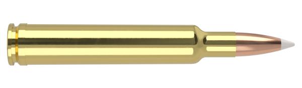 300 WEATHERBY MAG 180GR ACCUBOND TROPHY GRADE AMMUNITION