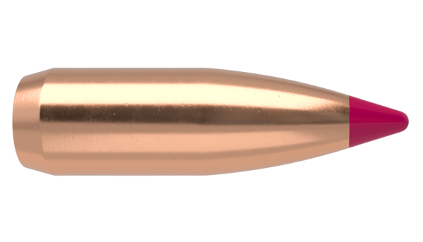 20 CALIBER 40GR BALLISTIC TIP VARMINT (100CT)