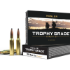 260 REM 125GR PARTITION TROPHY GRADE AMMUNITION