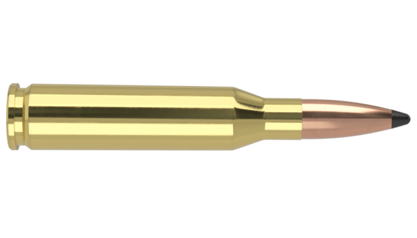 260 REM 125GR PARTITION TROPHY GRADE AMMUNITION