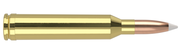264 WIN MAG 130GR ACCUBOND TROPHY GRADE AMMUNITION