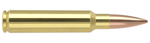 33 NOSLER 300GR CUSTOM COMPETITION MATCH GRADE AMMUNITION
