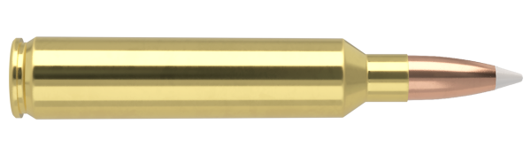 28 NOSLER 160GR ACCUBOND TROPHY GRADE AMMUNITION