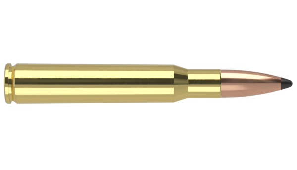 30-06 SPRINGFIELD 165GR ACCUBOND TROPHY GRADE AMMUNITION