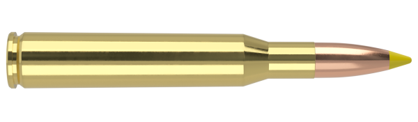 300 SAUM 180GR PARTITION TROPHY GRADE AMMUNITION