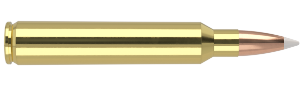 300 RUM 200 ACCUBOND TROPHY GRADE AMMUNITION