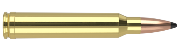 300 WIN MAG 200GR PARTITION TROPHY GRADE AMMUNITION