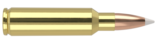 325 WSM 200 ACCUBOND TROPHY GRADE AMMUNITION