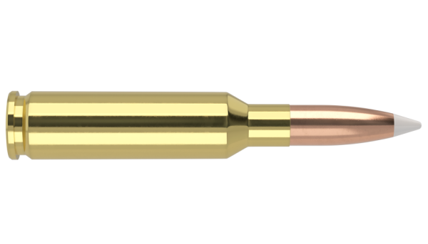 6.5 CREEDMOOR 140GR ACCUBOND TROPHY GRADE AMMUNITION