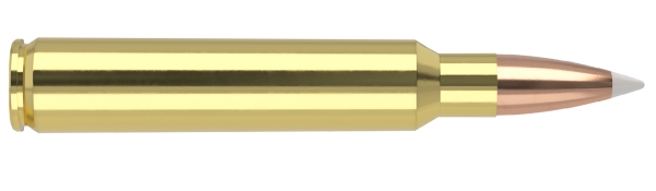 338 RUM 250GR ACCUBOND TROPHY GRADE AMMUNITION