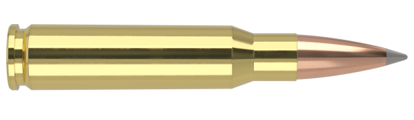 308 WIN 168GR ACCUBOND LONG RANGE TROPHY GRADE AMMUNITION