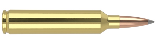 26 NOSLER 142GR ACCUBOND LONG RANGE TROPHY GRADE AMMUNITION