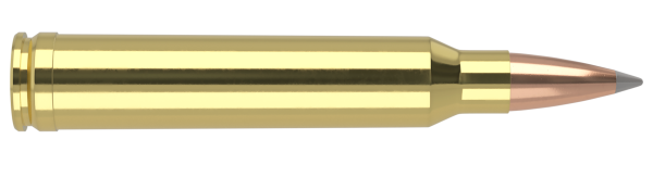 300 WIN MAG 190GR ACCUBOND LONG RANGE TROPHY GRADE AMMUNITION