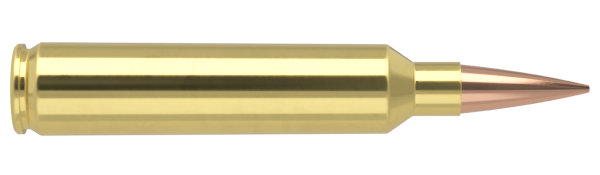 28 NOSLER 185GR RDF MATCH GRADE AMMUNITION