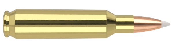 22 NOSLER 70GR ACCUBOND TROPHY GRADE AMMUNITION