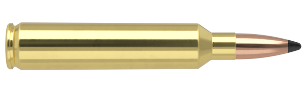 28 NOSLER 160GR PARTITION TROPHY GRADE AMMUNITION