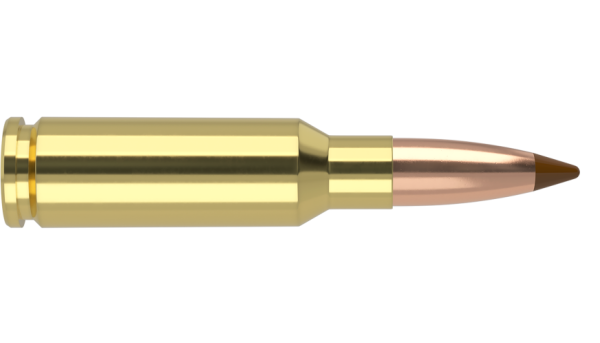 6.5 GRENDEL 120GR BALLISTIC TIP HUNTING AMMUNITION