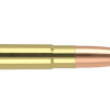 300 AAC BLACKOUT 125GR BALLISTIC TIP HUNTING AMMUNITION