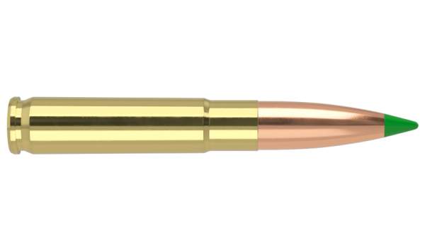 300 AAC BLACKOUT 125GR BALLISTIC TIP HUNTING AMMUNITION