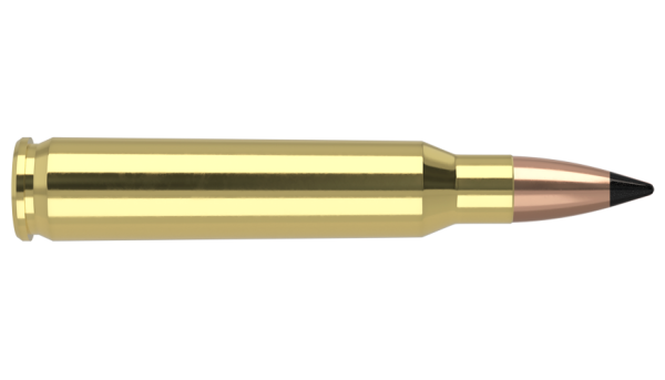 223 REM 53GR FB TIPPED VARMAGEDDON AMMUNITION