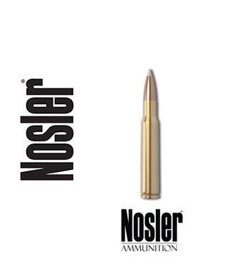 Nosler AccuBond 30-06 Springfield