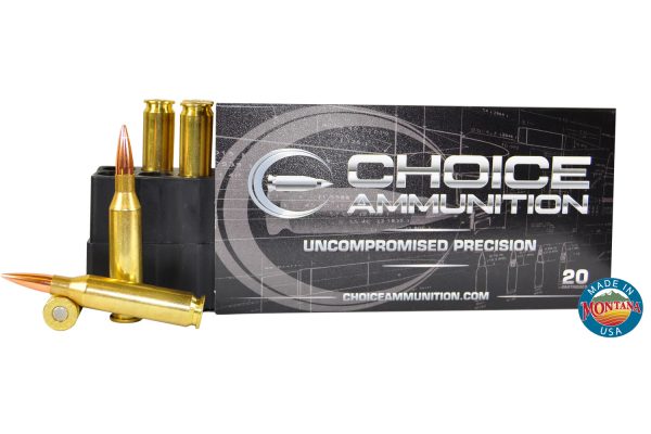 Nosler AccuBond 300 Win Short Magnum