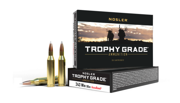 Nosler AccuBond 243 Win