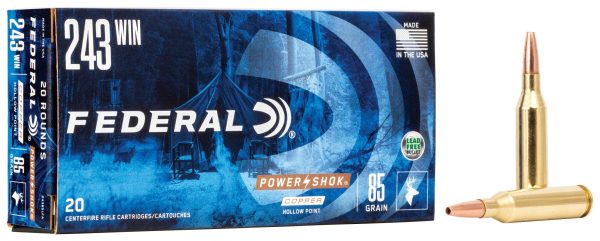 Power-Shok Copper Rifle 243 Win